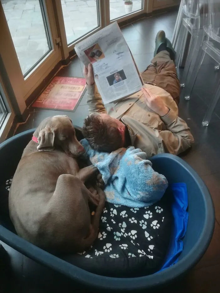 Mi padre leyendo el periódico con "ese perro estúpido"