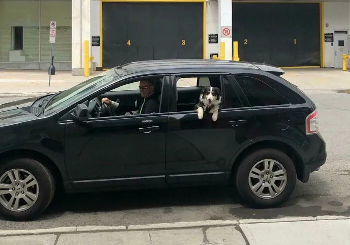 Mi papá no quería a Luna, pero cambió su auto por algo más adecuado para llevarla absolutamente a cualquier lugar que pudiera.