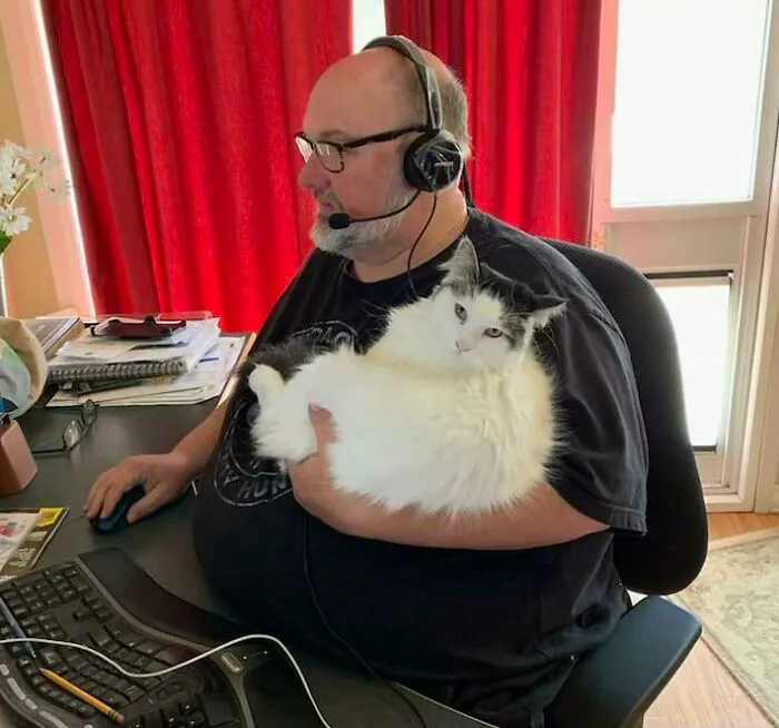 “Nunca más tendremos otro gato”