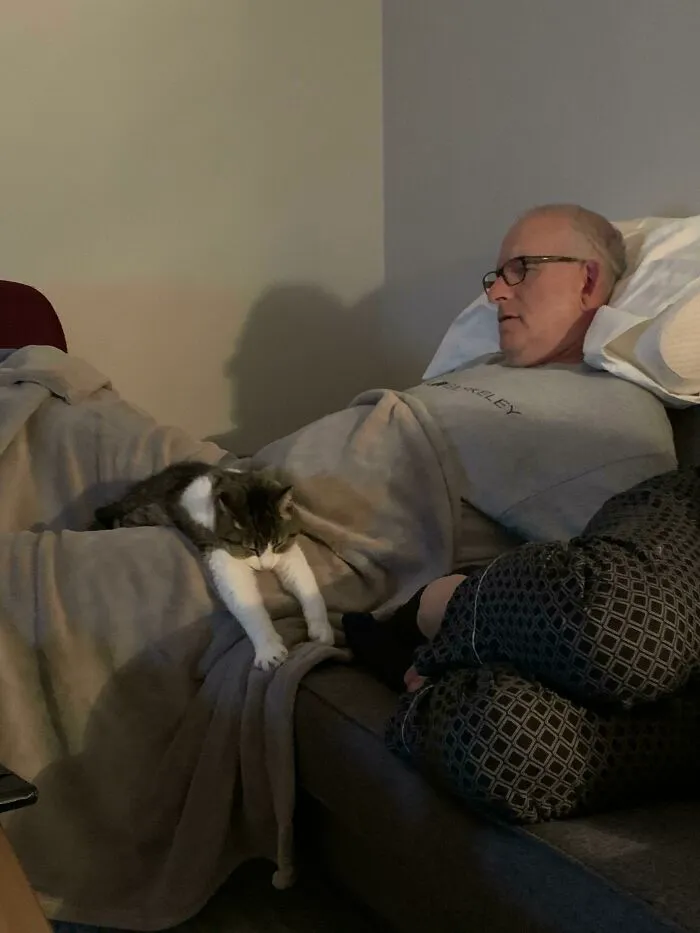 Papá: “No quiero tener nada que ver con ese estúpido gato”. Dos días después, sucede esto.