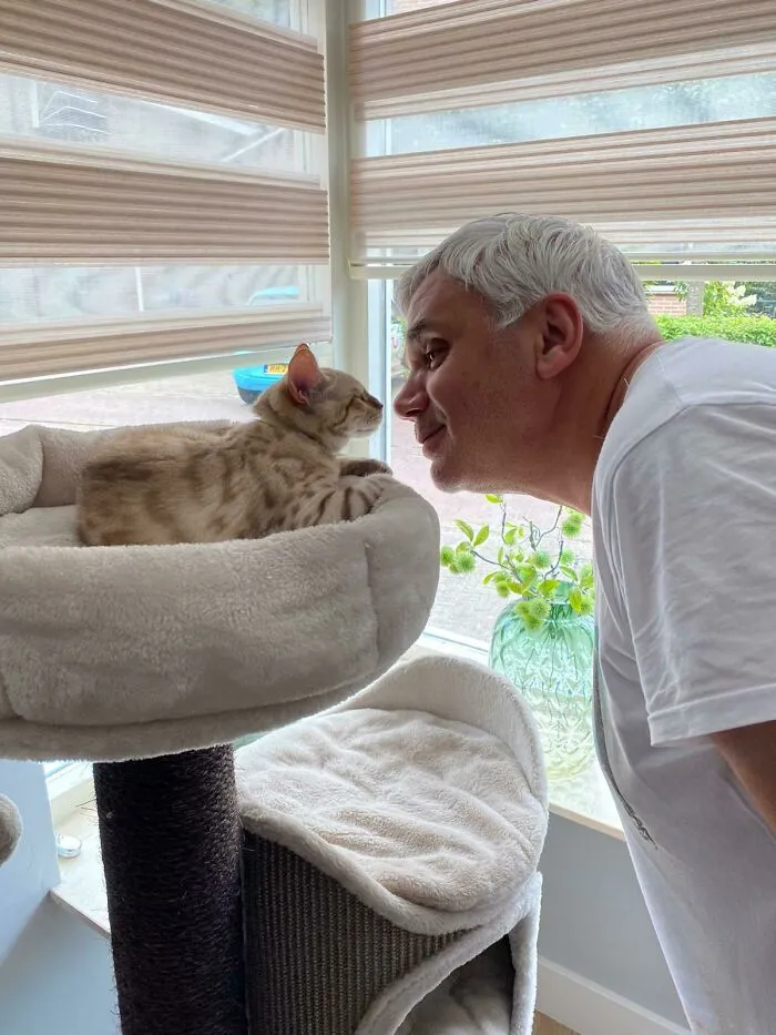 No le gustan ni confía en los gatos en absoluto.