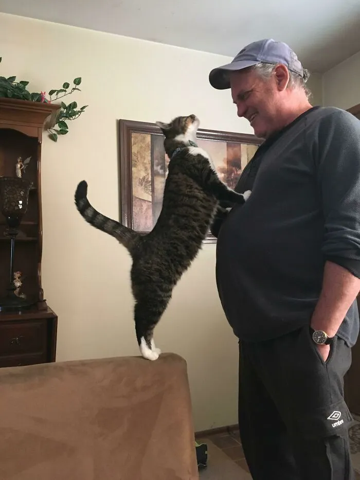 Nunca le gustó mucho ese gato