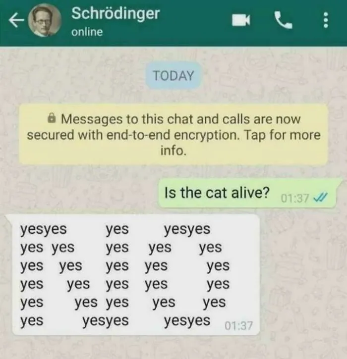 Yes No