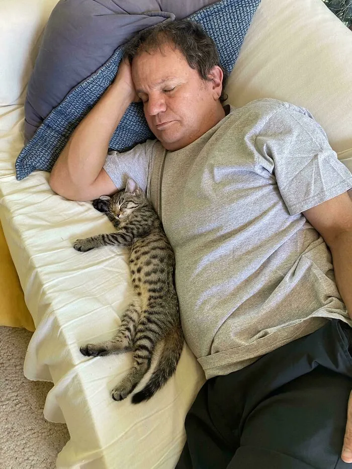 Papá y el gato para el que "no estaba preparado"