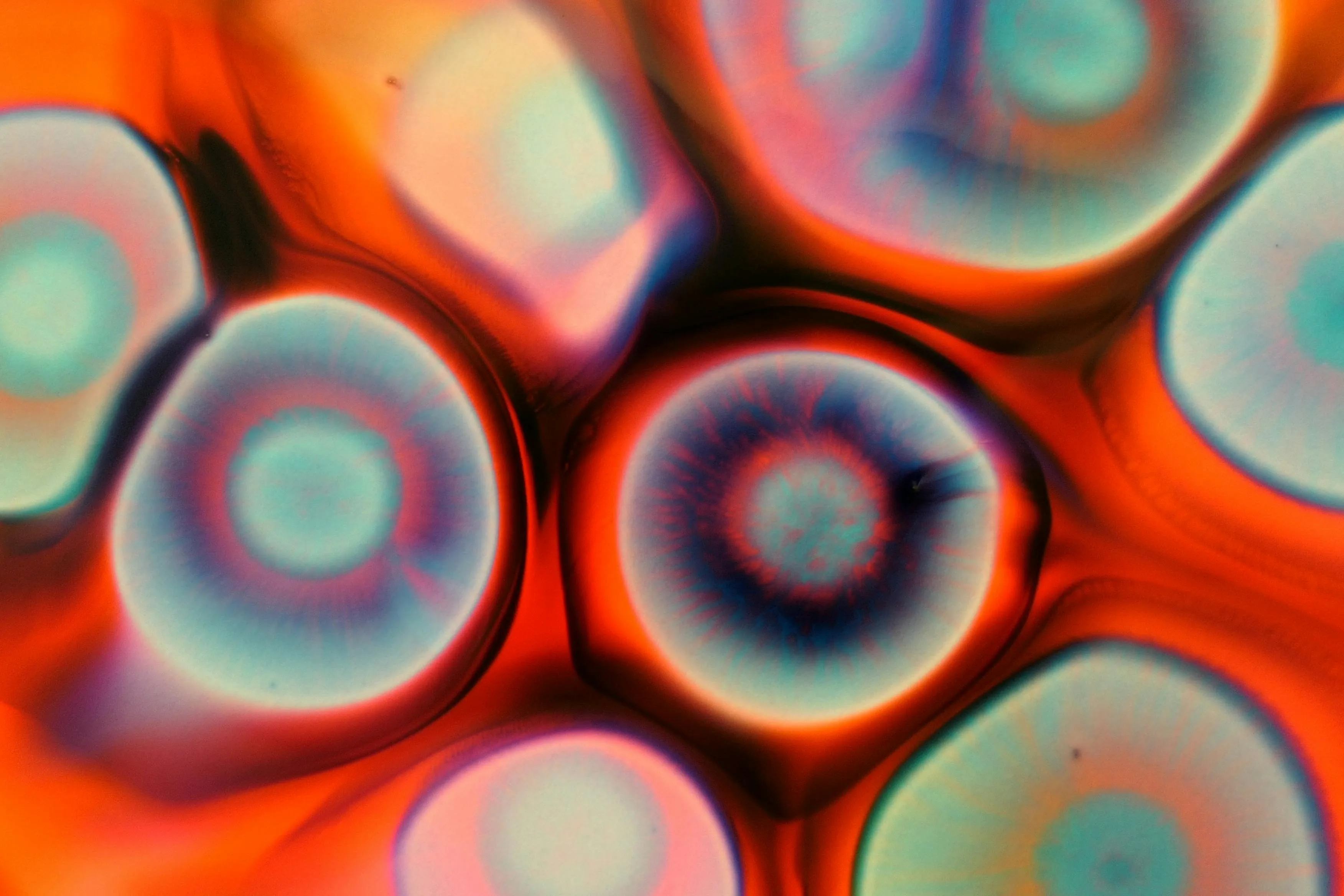 Close-up of colorful cells under microscope illustrating ligand binding to intracellular receptor in biology quiz context.