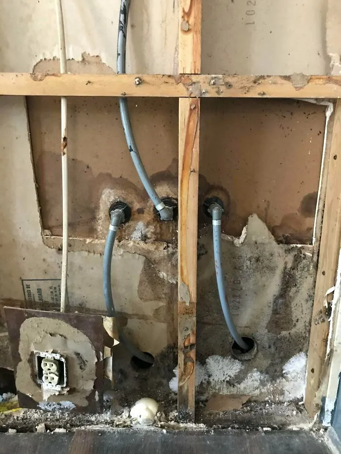 Just Bought A House - Found A Small Patch Of Mold Which Turned Into A Much Bigger Problem