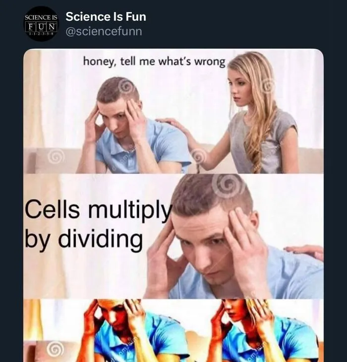 Man stressed while woman comforts him, meme about cells multiplying by dividing, illustrating science memes and interesting posts.