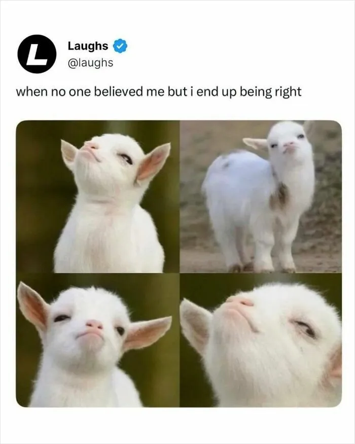65 Funny And Silly Memes For People Who Cope With Humor Because Therapy Is Too Expensive
