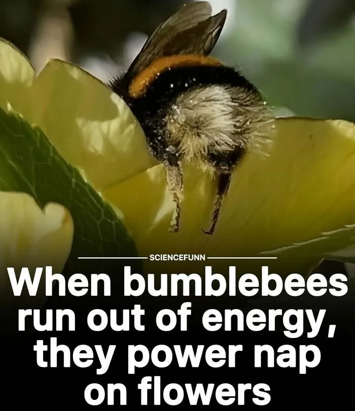 83 Hilarious Science Memes That React Faster Than Diet Coke And Mentos’ Reaction (New Pics)