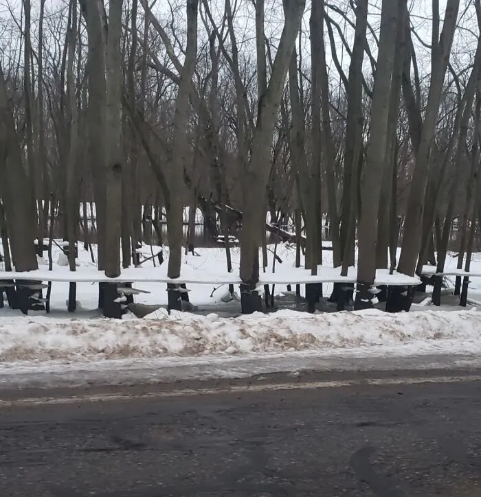 The River By Me Flooded, Then Froze, Then The Water Receded, Leaving These Hovering Ice Shelves On The Trees