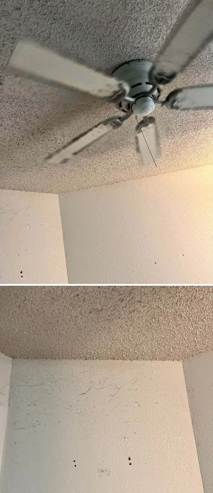 What Caused All This Dust?