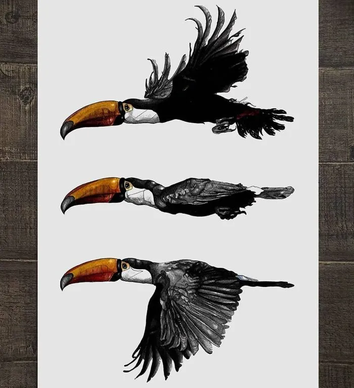 Artist Created 34 Stunning Animal Sketches That Look Almost Too Real To Be Drawn