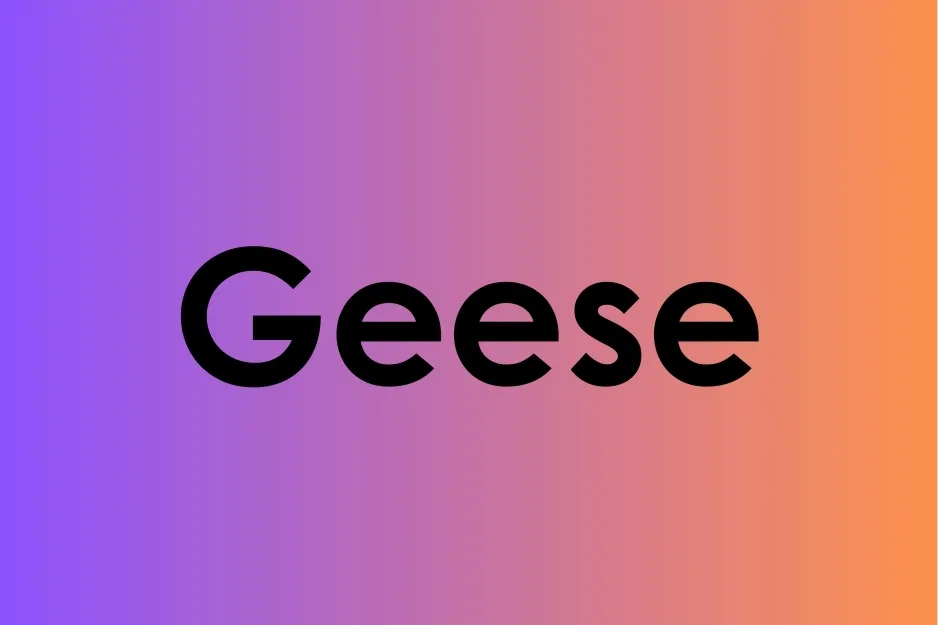 The word Geese displayed in bold black letters on a purple to orange gradient background showing the plural form.