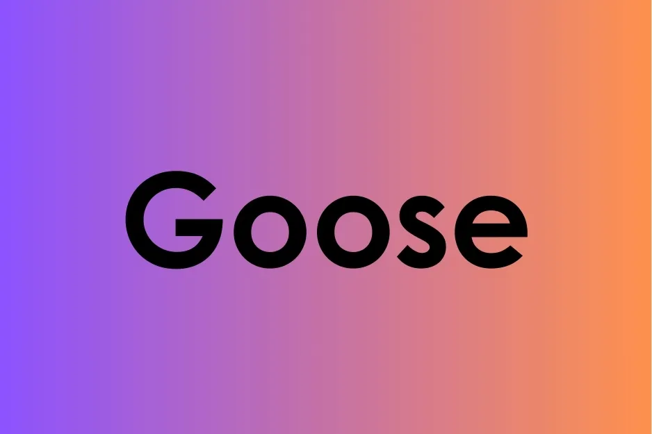 Goose written in bold black font on a purple to orange gradient background, focusing on plural word form.
