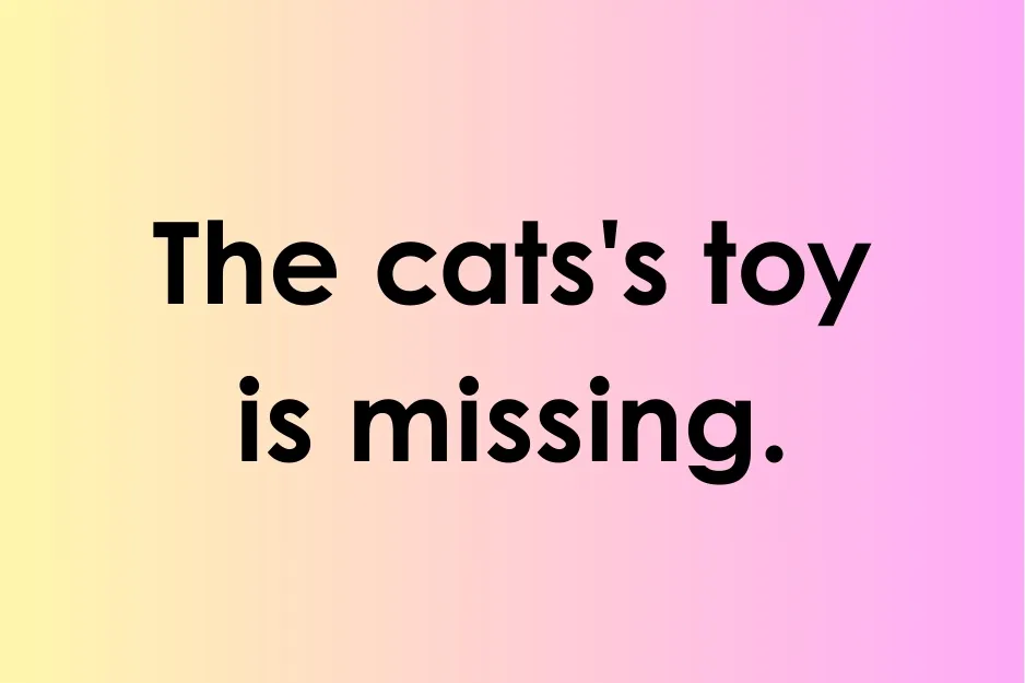 Text showing an example of a sentence that uses an apostrophe correctly to indicate possession.