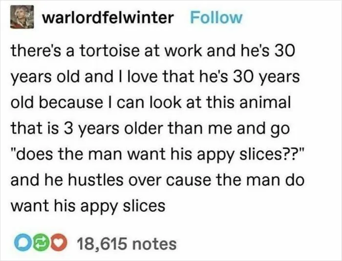 Appy Slices