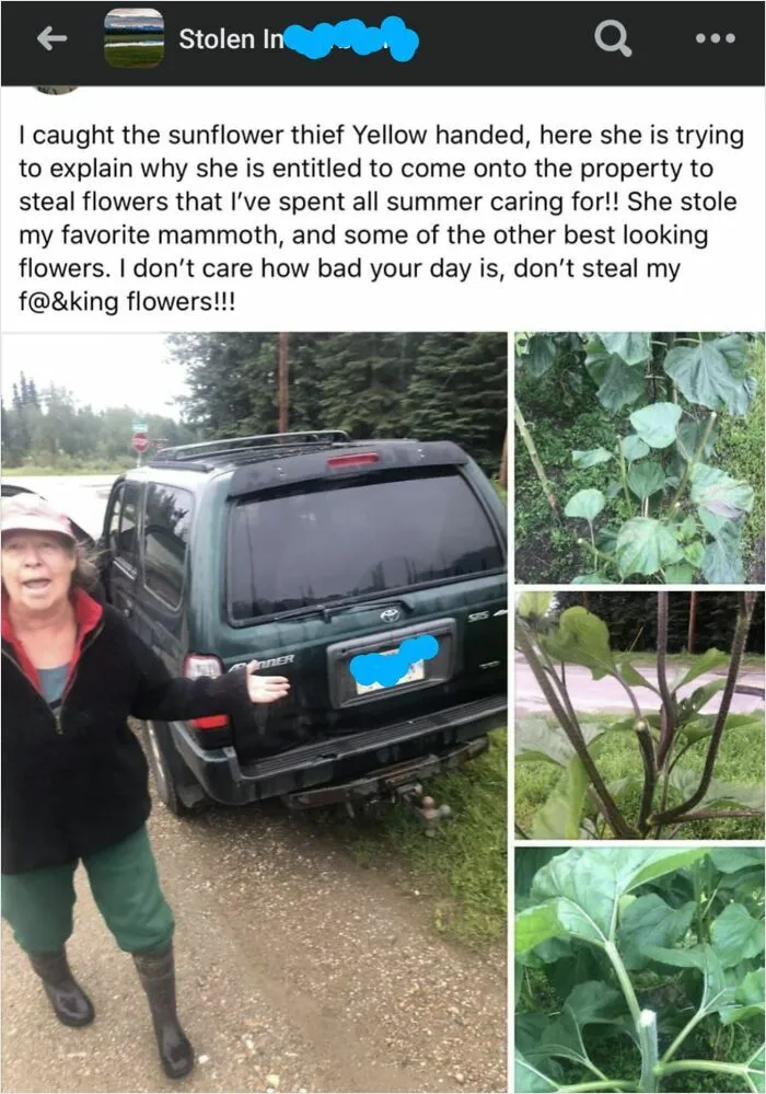 Stealing Flowers From Someone's Garden Is Pretty Trashy