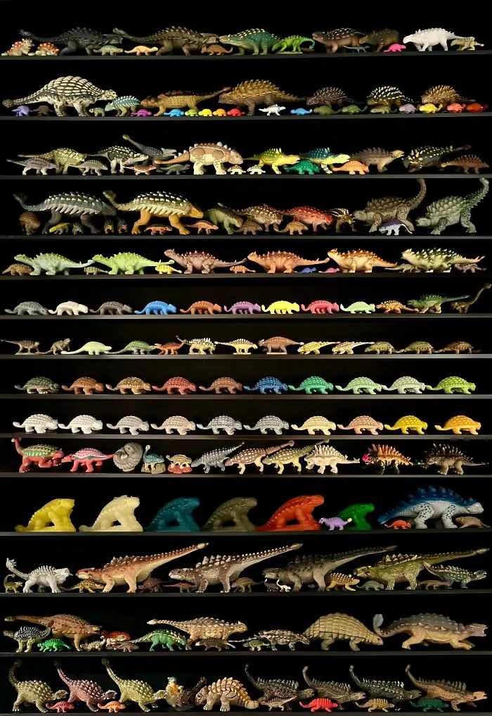 Sharing My Ankylosaurus Collection