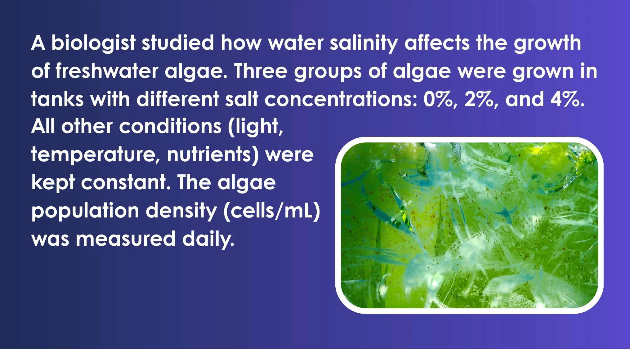 Biologist studies water salinity effects on freshwater algae growth for ACT quiz experiment reliability.