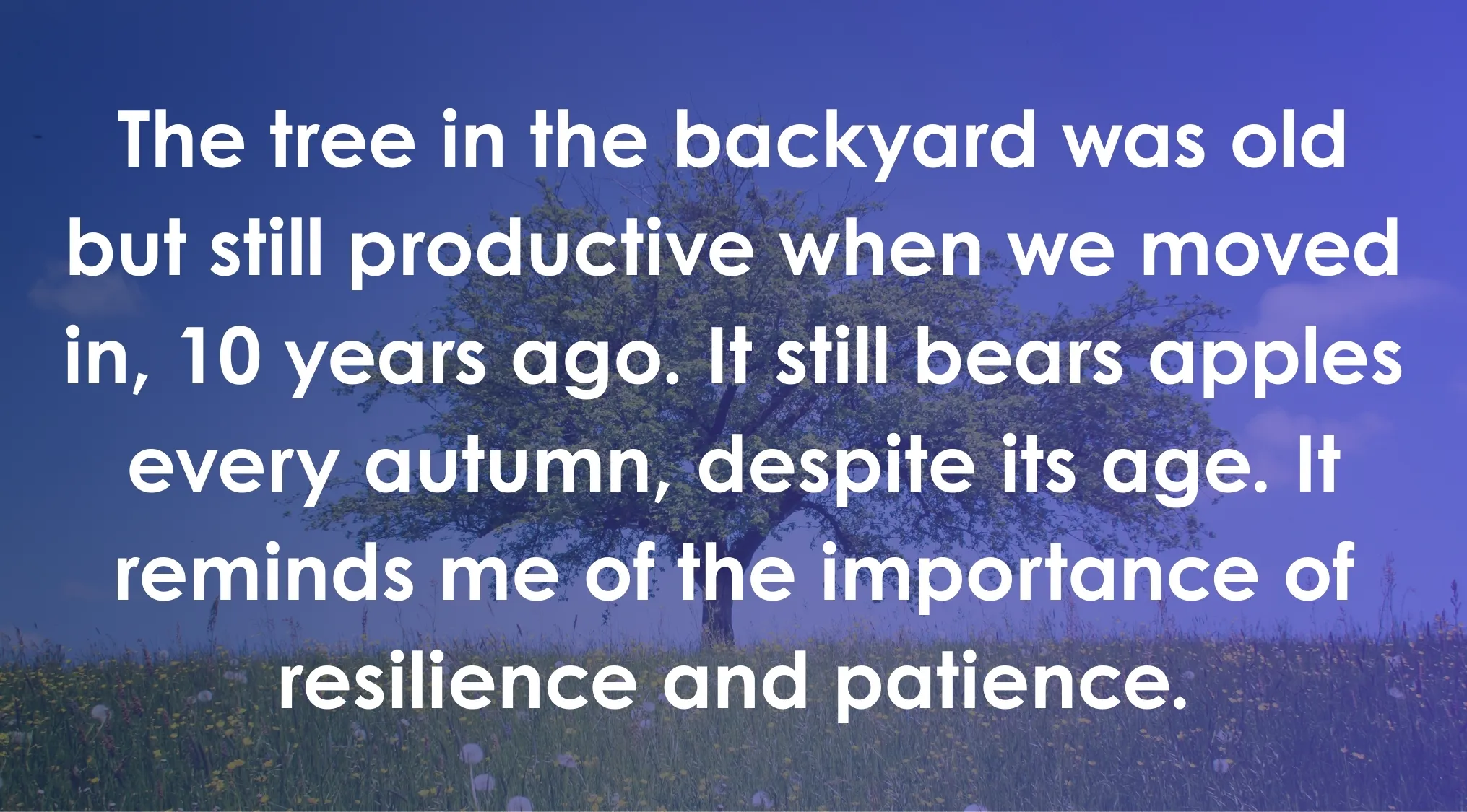 A large tree in a field with text about what bears means in context for an ACT Quiz reading excerpt.