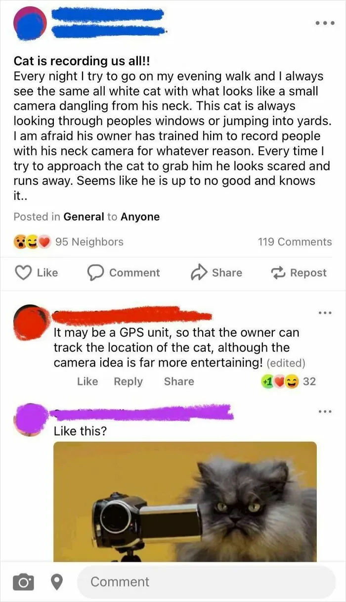 A Karen Is Trying To Catch A Cat In My Neighborhood Because She Thinks The Owner Trained It To Spy On People