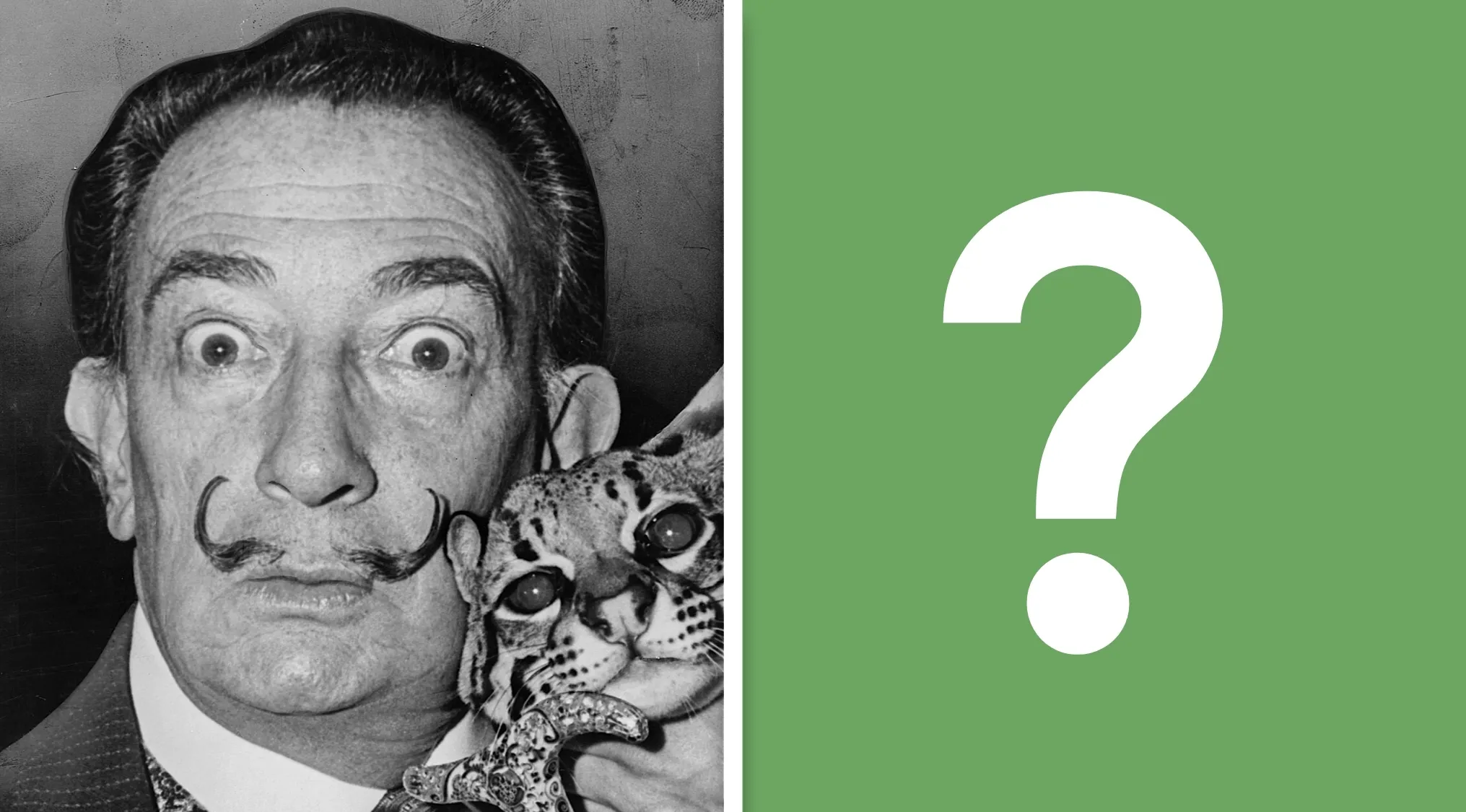 Black and white photo of Salvador Dalí with a mustache, holding a wild cat as a geography challenge visual hint.