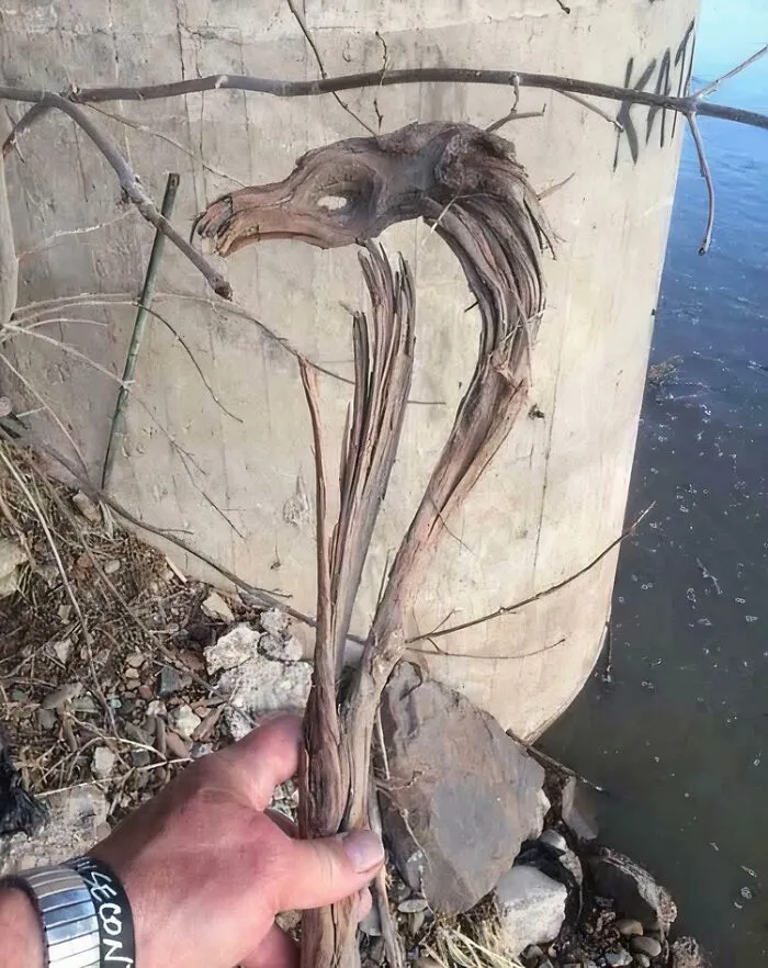 Dragon Stick