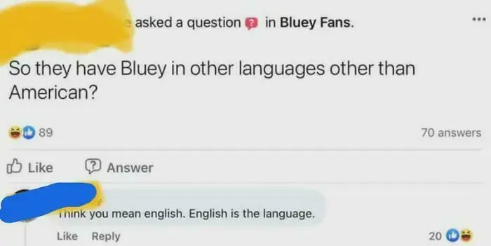 "So They Have Bluey In Other Languages Other Than American"