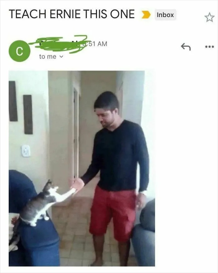 My Dad Finally Got A Smartphone And He Keeps Emailing Me Gifs