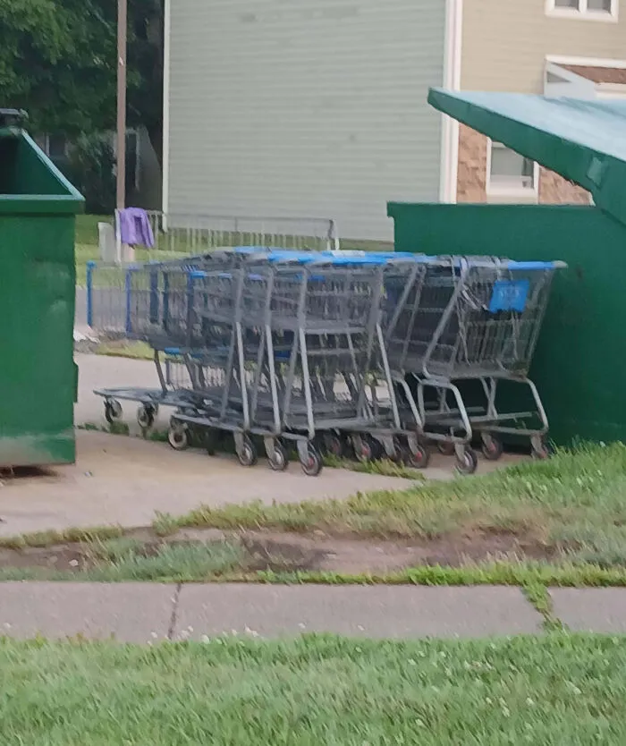My Neighbors Like To Take Shopping Carts Home And Never Return Them, So They Just Accumulate By The Dumpster