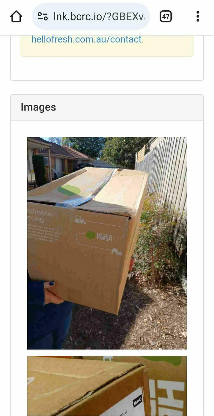 Neighbour Stole Our Hellow Fresh Box Again And Denies It