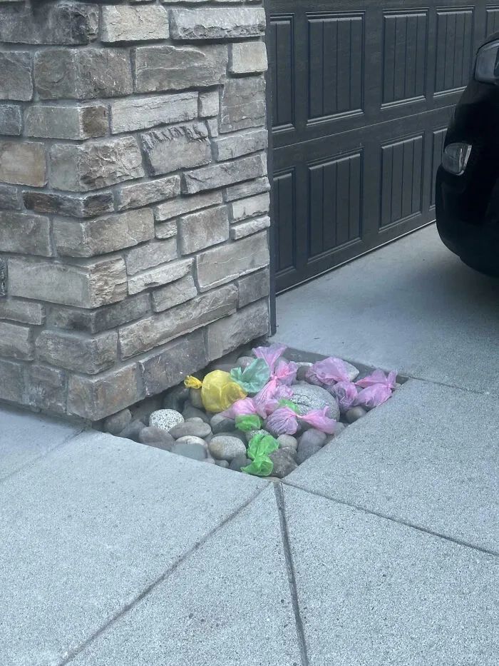 My Unhygienic Neighbours Dump Their Used Dog Bags In Front Of Their Unit On Some Rocks. The Smell Is Atrocious