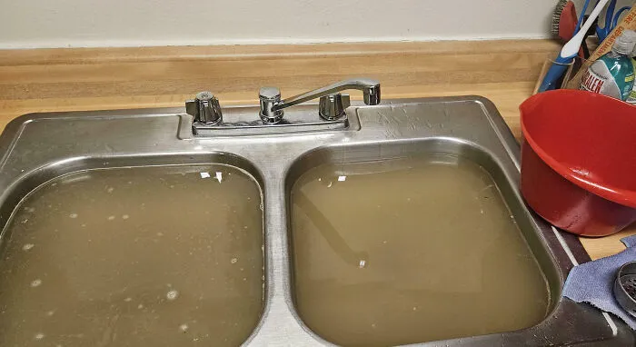 New Neighbors Won't Stop Pouring Grease Down The Drains