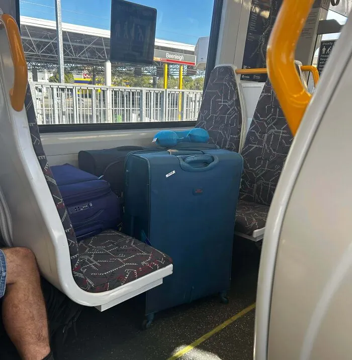 Both Of The Owners Of These Bags Are Sitting In Their Own Seat, Enjoying All The Space They Have