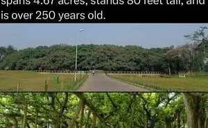 59 Amazing Facts About Our World To Keep You Busy And Learning For A Few Minutes