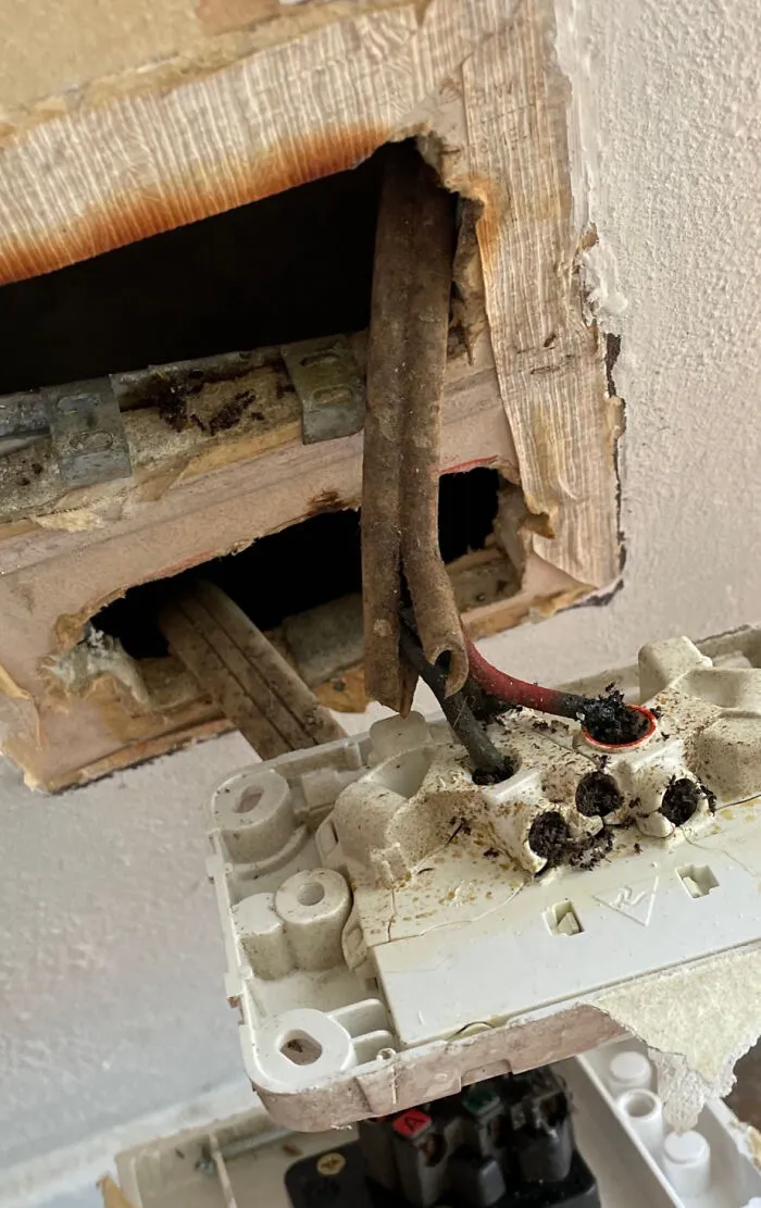 We Just Bought A House And Found This Neat Fire Hazard When Checking All The Power Points