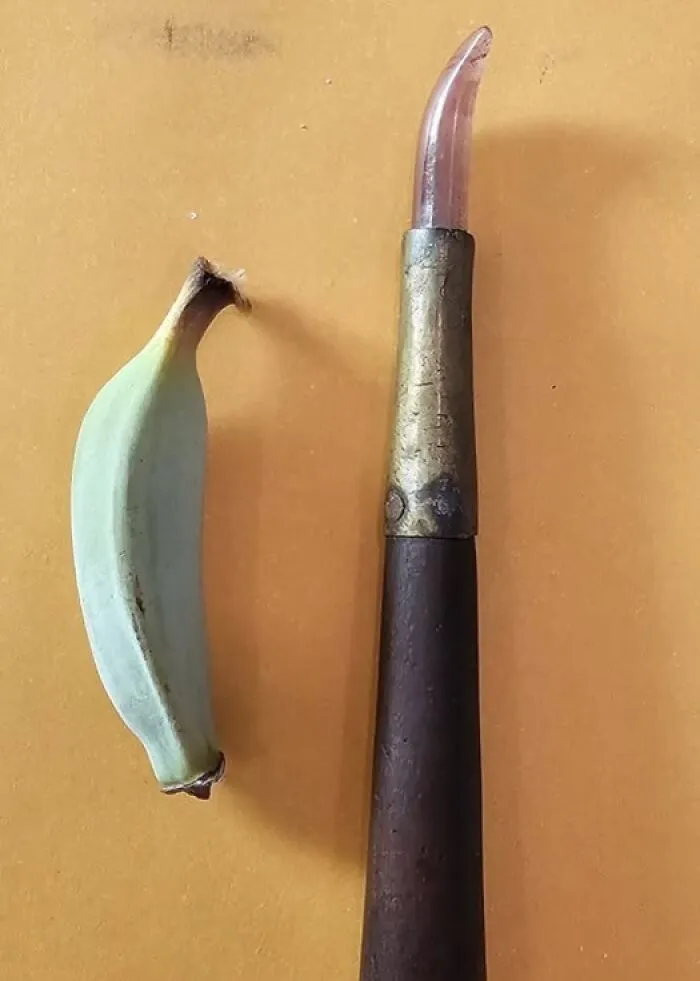 Unidentified object with curved transparent tip next to a green banana, featured in internet mystery solved of unidentified objects.