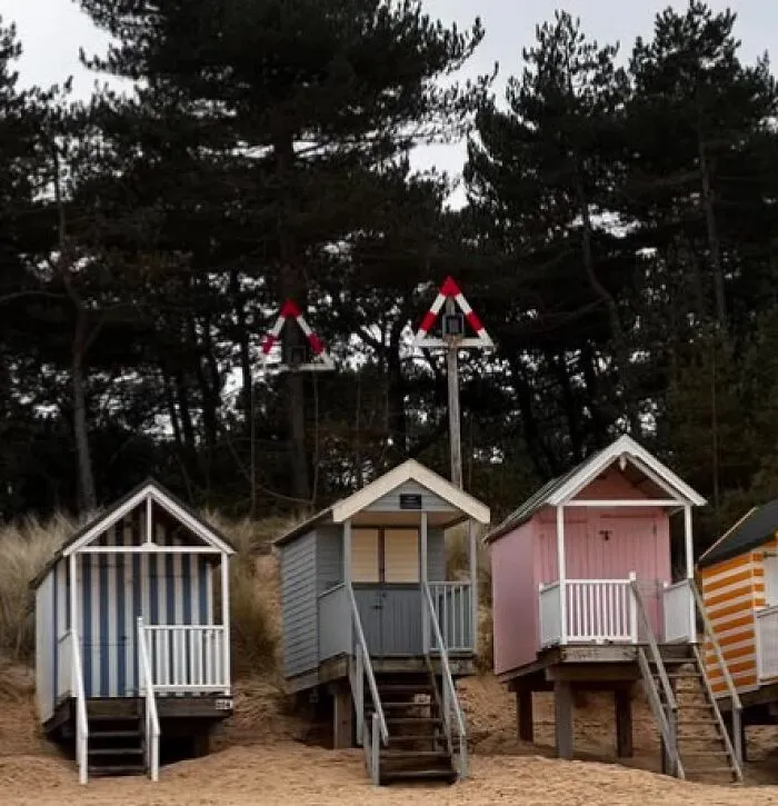 I Spotted These Triangular Shapes, One Attached To A Tree And One On A Pole. I Was Wondering Of Anyone Knew What Their Purpose Is?