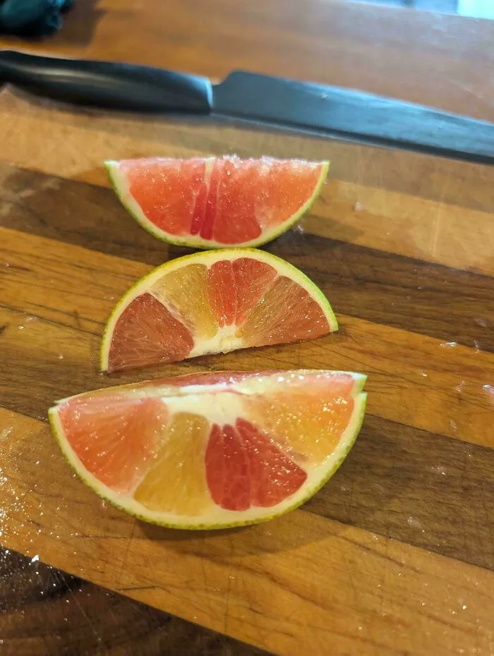 This Orange I Just Picked