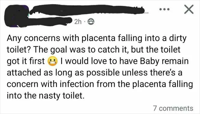 Placenta Dunk Tank