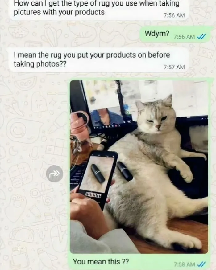 It's Always A Cat