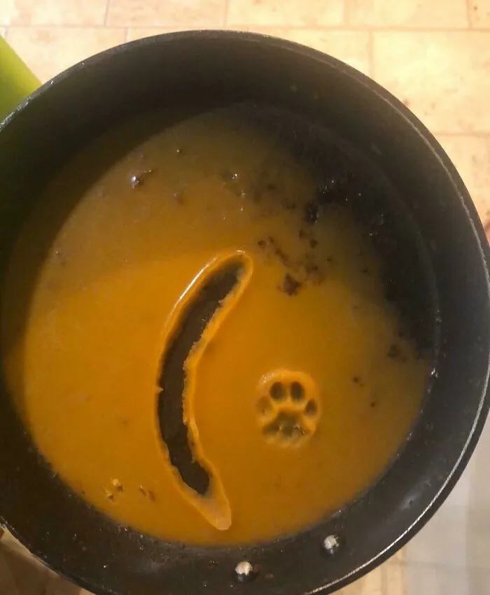 Me pregunto qué pasó con la salchicha