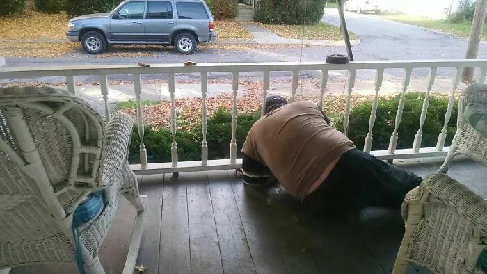 My Dad Got His Head Stuck In The Porch Yesterday Whilst Trying To Feed A Dead Bee To A Spider That Lives In The Bushes
