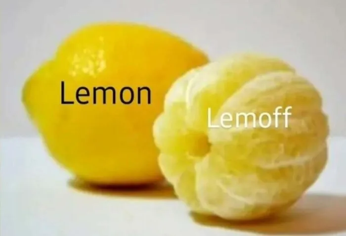 Comparison meme showing a whole lemon labeled lemon and a peeled lemon labeled Lemoff, for entertaining meme lovers.