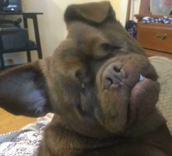 Tommy, The Chug