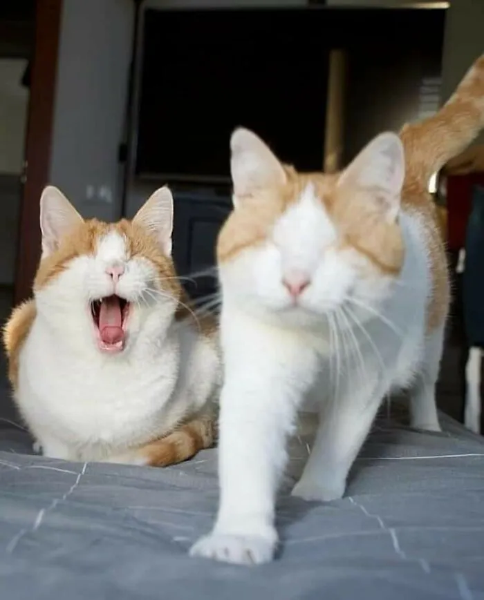 They Are Blind But They Have Lot Of Love