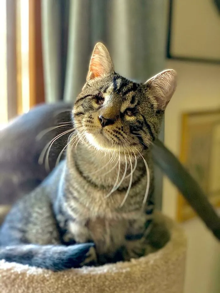 What A Cutie