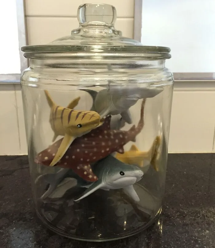 After A 50+ Email Chain With All The Men At My Company, We Decided It Was Only Fair To Have A Shark Tank In The Bathroom If The Women Got An Orchid