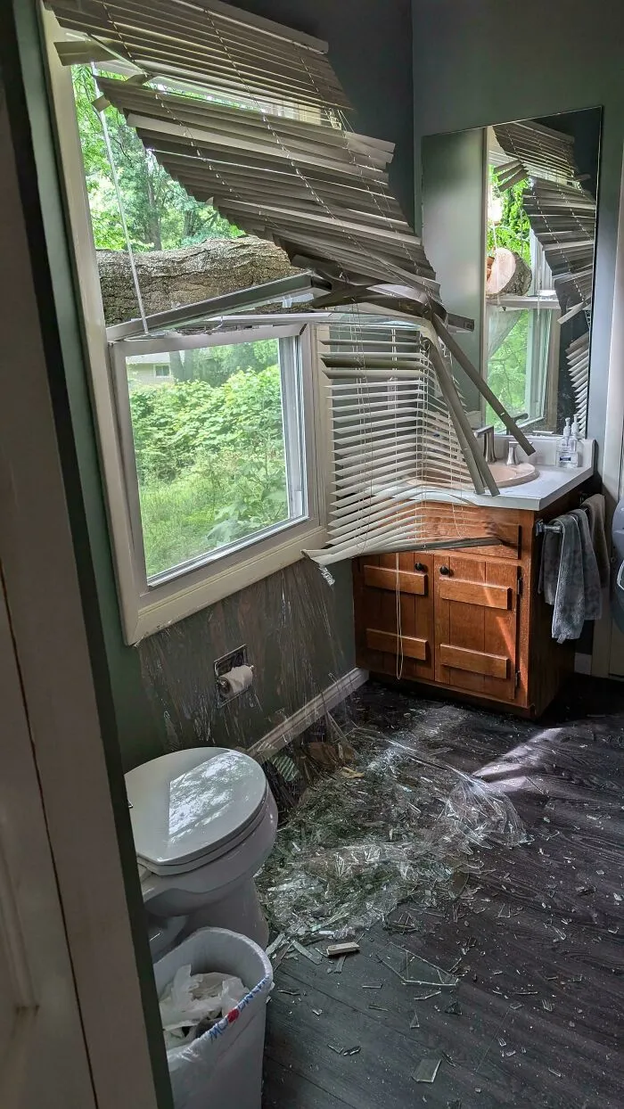 Boyfriend Was Cutting Down A Tree Limb