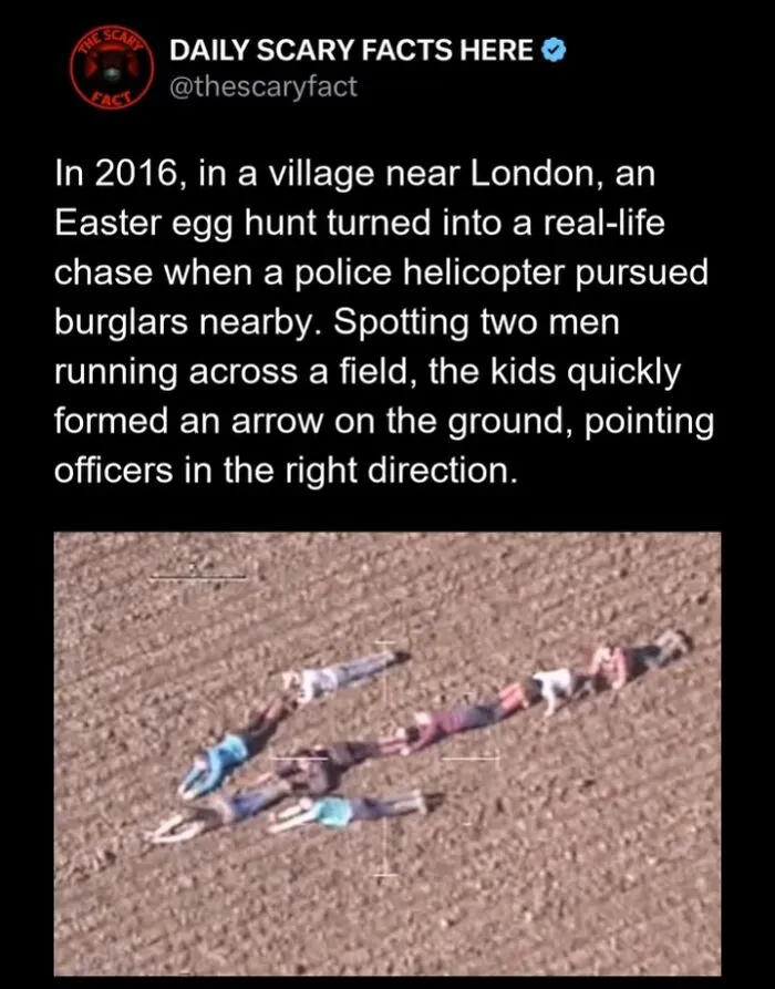 “Something Out Of A Nightmare”: 83 Disturbing Real-Life Facts That Might Haunt Your Mind (New Pics)